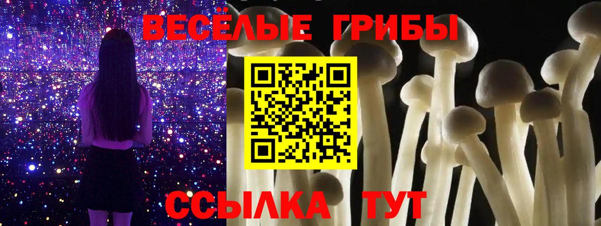 Галлюциногенные грибы прущие грибы Ессентуки