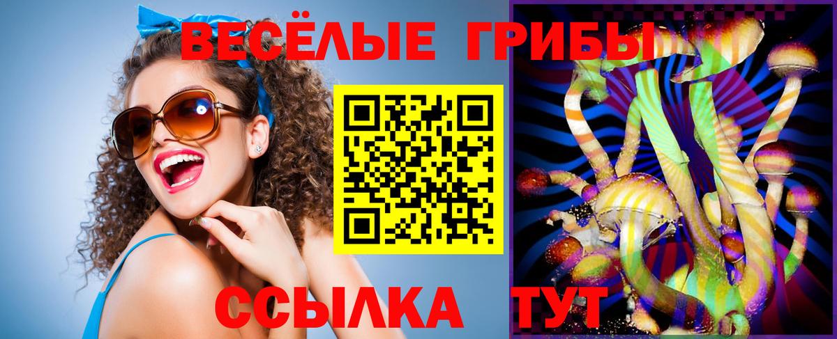 Галлюциногенные грибы Psilocybe  Вход с VPN  Ессентуки 